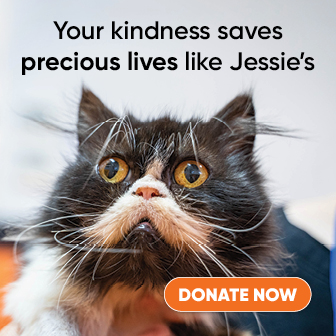 Your kindness saves precious lives ike Jessie